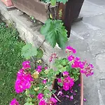 자르코바 쿠쉬타 게스트하우스