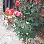 Zarkova Kushta Pensiune *