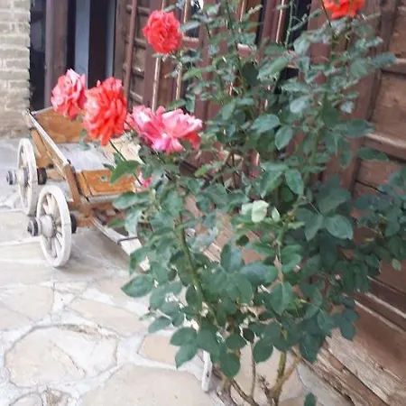 Zarkova Kushta Πανσιόν *